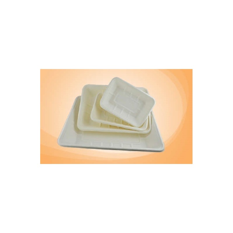 Plateaux blancs en fibre naturelle Hygiene Pulp™