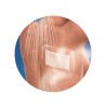 Pansement adhésif postopératoire imperméable Aquabloc, boîte de 5