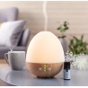 Diffuseur d'huiles essentielles OHIO