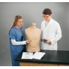 Simulateur d'auscultation adulte