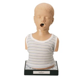 Simulateur d'auscultation des bruits du coeur et de poumons d'enfant
