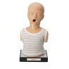 Simulateur d'auscultation des bruits du coeur et de poumons d'enfant