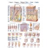 Planche anatomique "peau-cheveux-ongle"