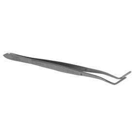 Pince Brucelle Miriam 16 cm