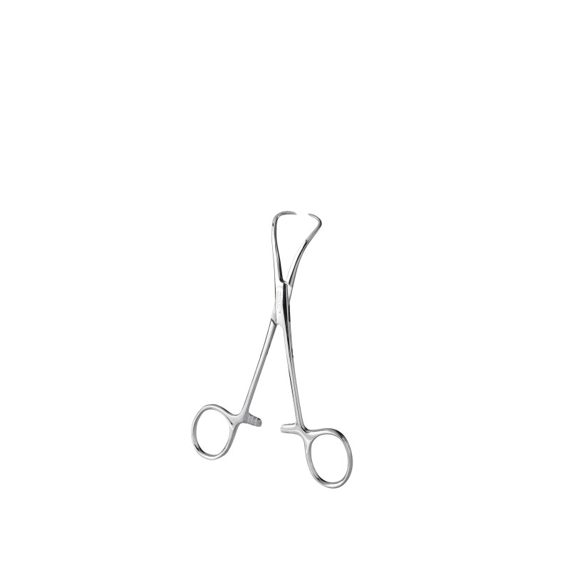 Pince à champs Backhaus, 3 dimensions au choix