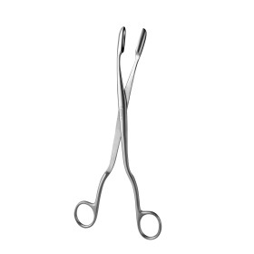 Pince à faux germes Winter courbe, 24 cm, Holtex