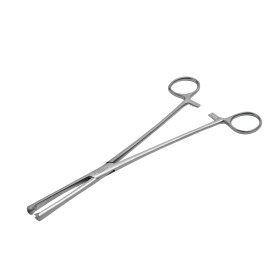 Pince Museux, droite, 24 cm, 7 x 5 mm, Holtex