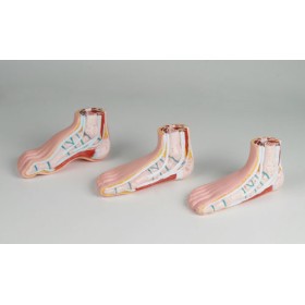 Modèles de pied miniature, lots de 3